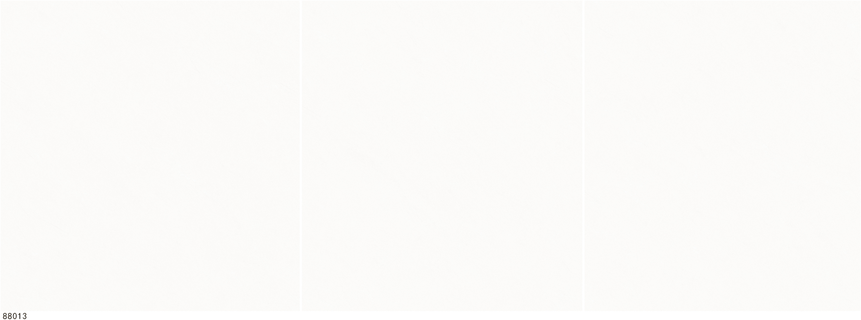 88013.jpg