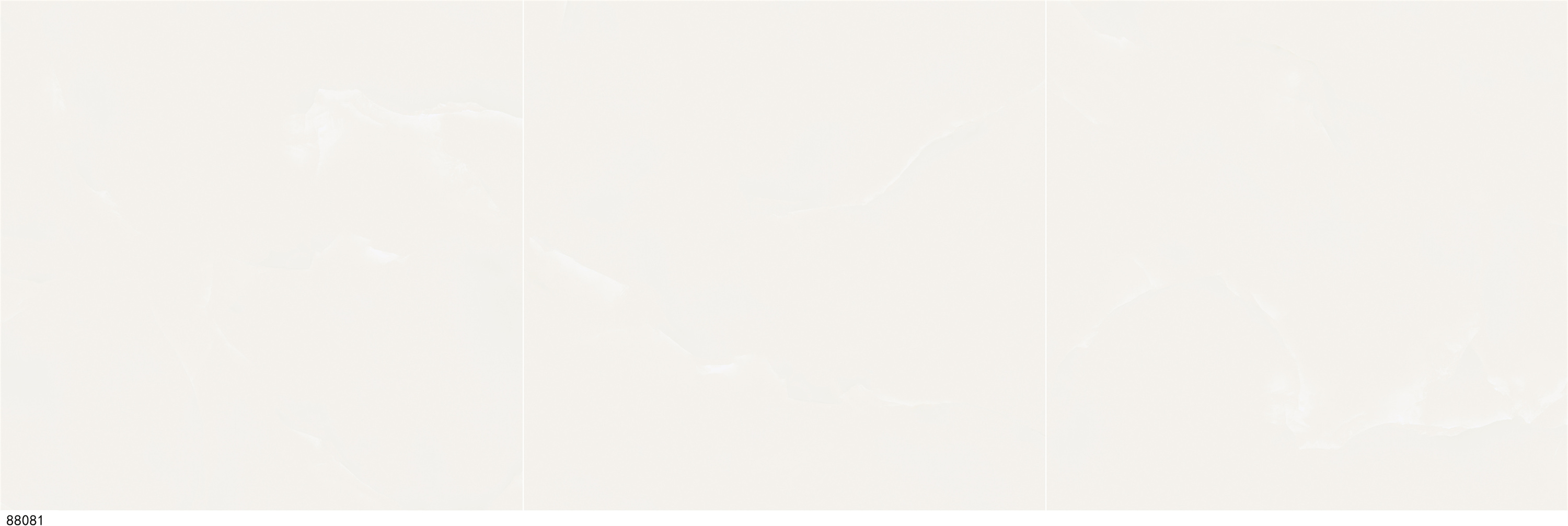 88081.jpg